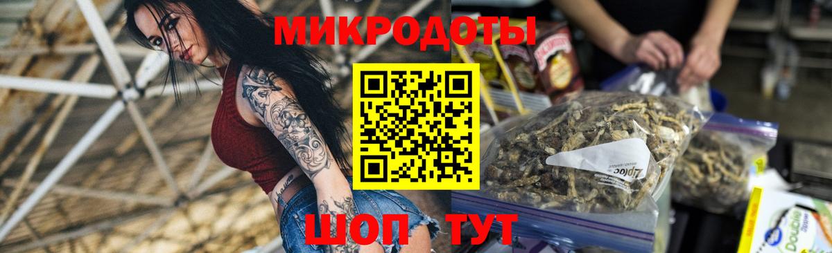 продажа наркотиков  Вход с VPN  Азнакаево  Псилоцибиновые грибы мицелий 