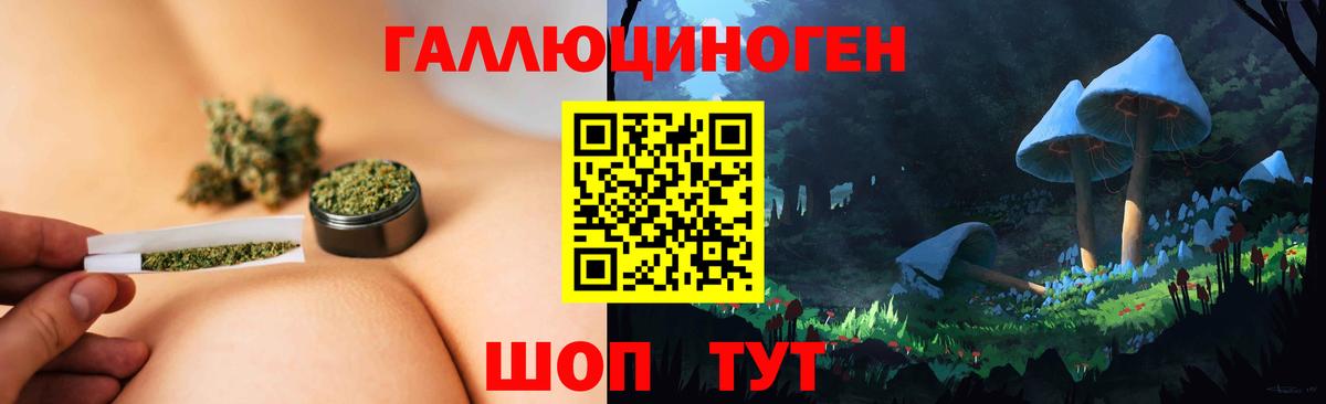 Галлюциногенные грибы Psilocybe Азнакаево